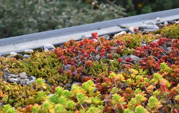 the cost of Lea Valley green roof installation
